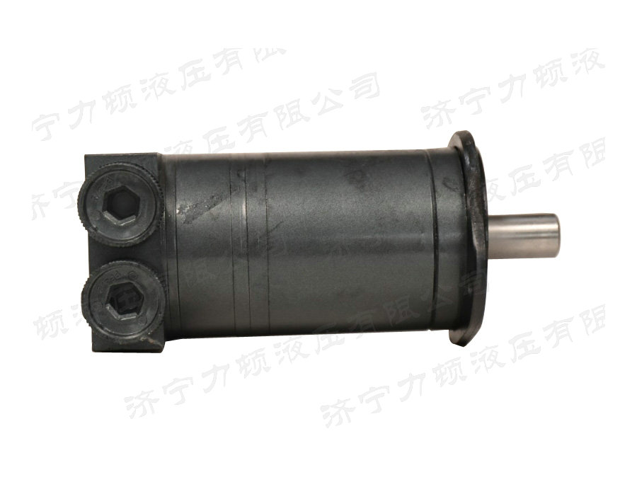 江南(中国)侧油口系列马达